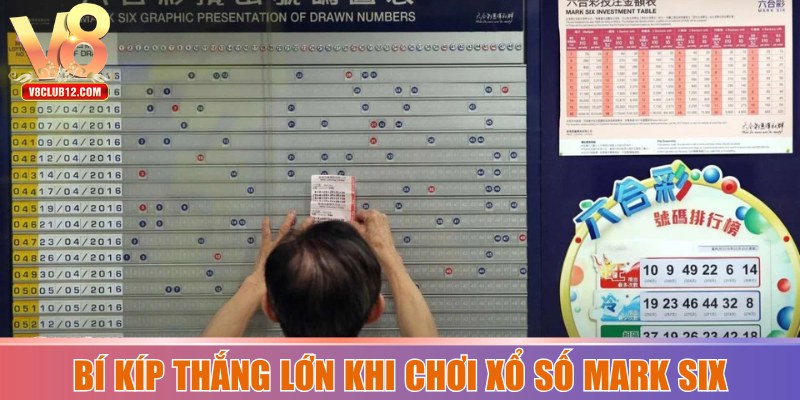 Bí kíp thắng lớn khi chơi Mark Six