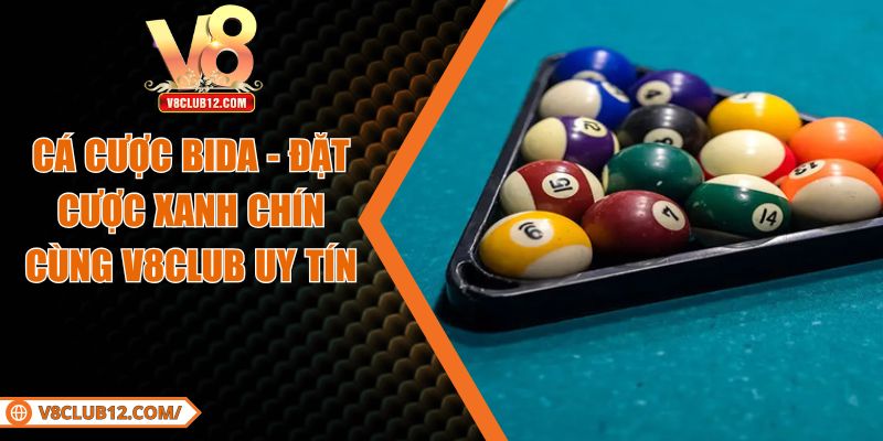 Cá Cược Bida - Đặt Cược Xanh Chín Cùng V8club Uy Tín