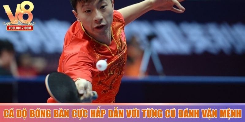 Cá độ bóng bàn cực hấp dẫn với từng cú đánh vận mệnh