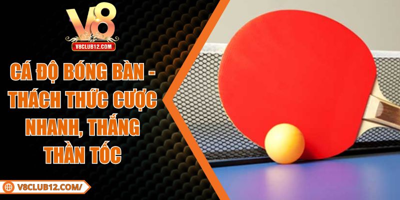 Cá Độ Bóng Bàn - Thách Thức Cược Nhanh, Thắng Thần Tốc