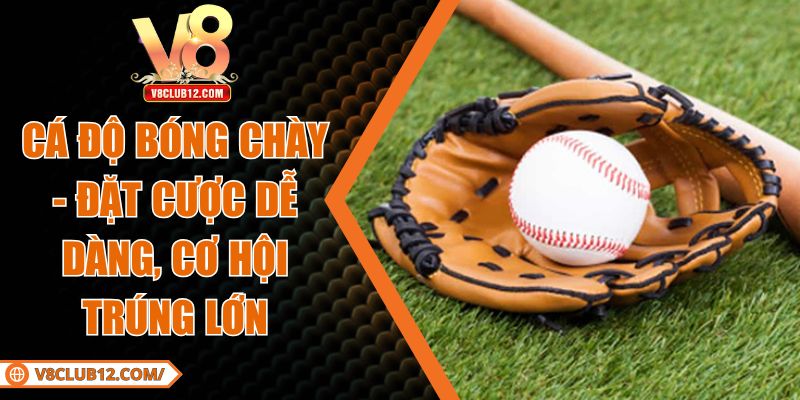 Cá Độ Bóng Chày - Đặt Cược Dễ dàng, Cơ Hội Trúng Lớn