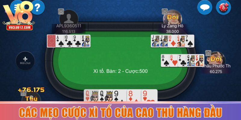 Các mẹo cược xì tố của cao thủ hàng đầu