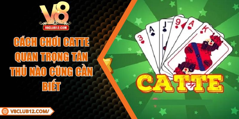 Cách Chơi Catte Quan Trọng Tân Thủ Nào Cũng Cần Biết