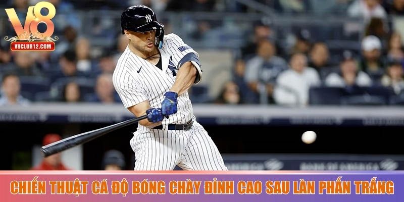 Chiến thuật cá độ bóng chày đỉnh cao sau làn phấn trắng