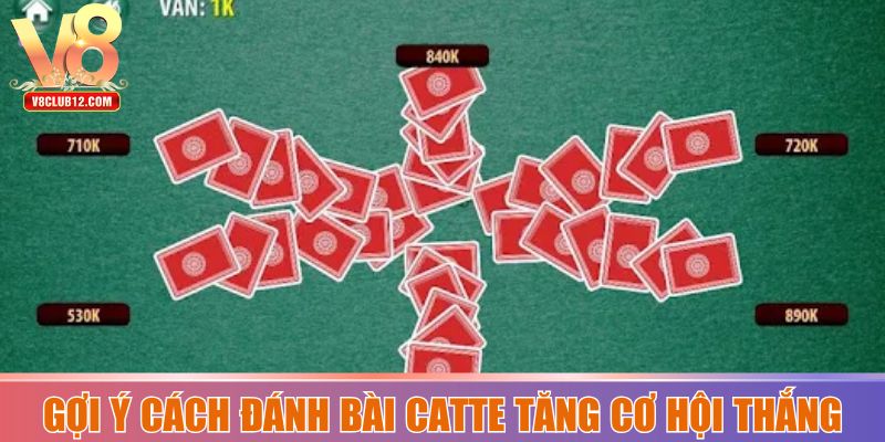 Gợi ý cách đánh bài Catte tăng cao cơ hội thắng đối thủ