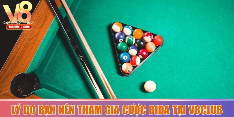 Lý do bạn nên tham gia cược bida tại V8club