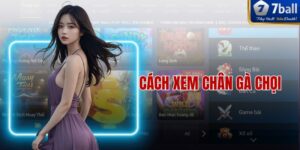 Cách Xem Chân Gà Chọi Chuẩn Xác Nhất Cho Người Mới