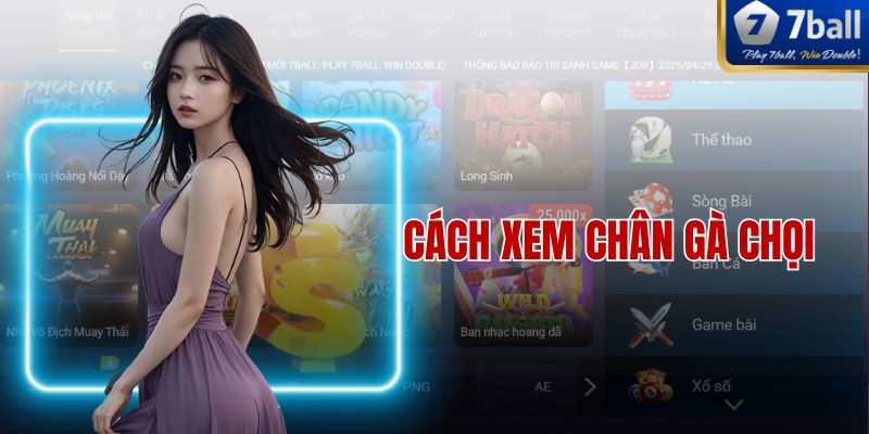 Cách Xem Chân Gà Chọi Chuẩn Xác Nhất Cho Người Mới